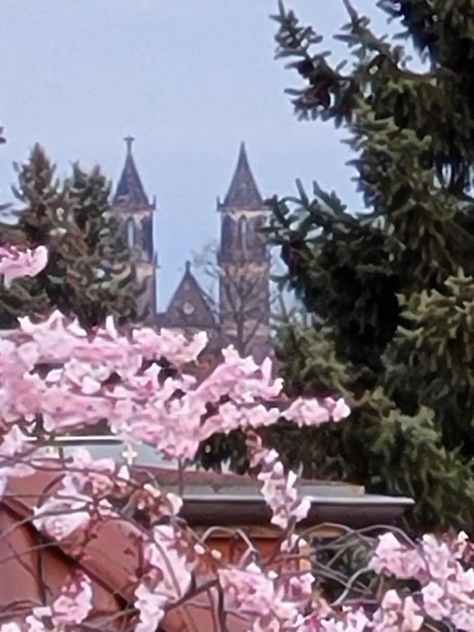 Haus Schmeile Magdeburg Dış mekan fotoğraf