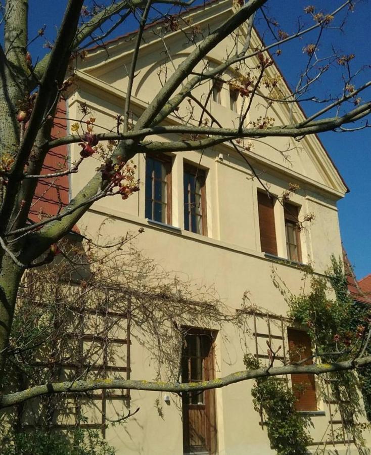 Haus Schmeile Magdeburg Dış mekan fotoğraf